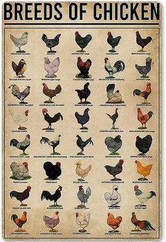 Металлическая жестяная вывеска Породы цыплят, обучающий плакат для домашней птицы, знания для школы, настенная табличка для домашней кухни, кафе